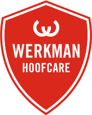 Werkman