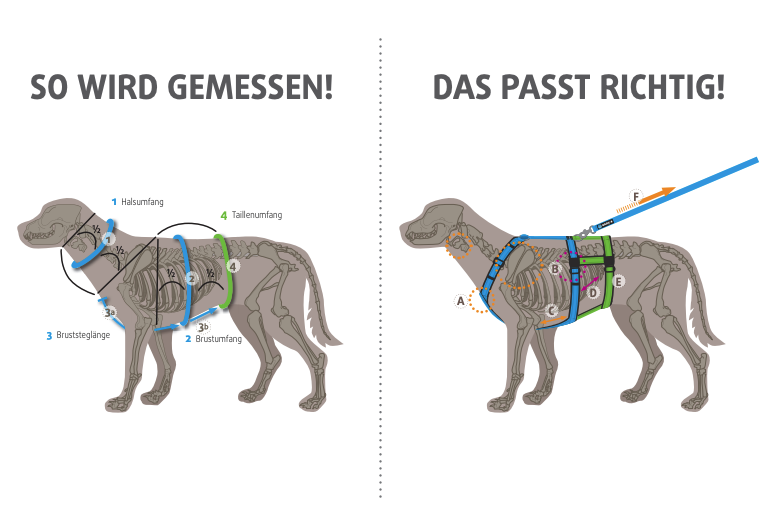 annyX Brustgeschirr Fun