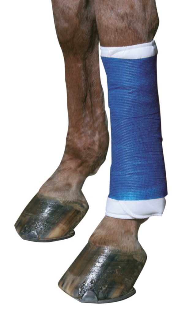 Selbsthaftende Bandage EquiLastic, 450cm x 10 cm