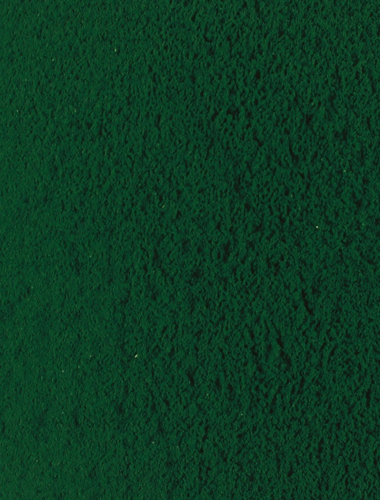 Spirulina, 1 kg