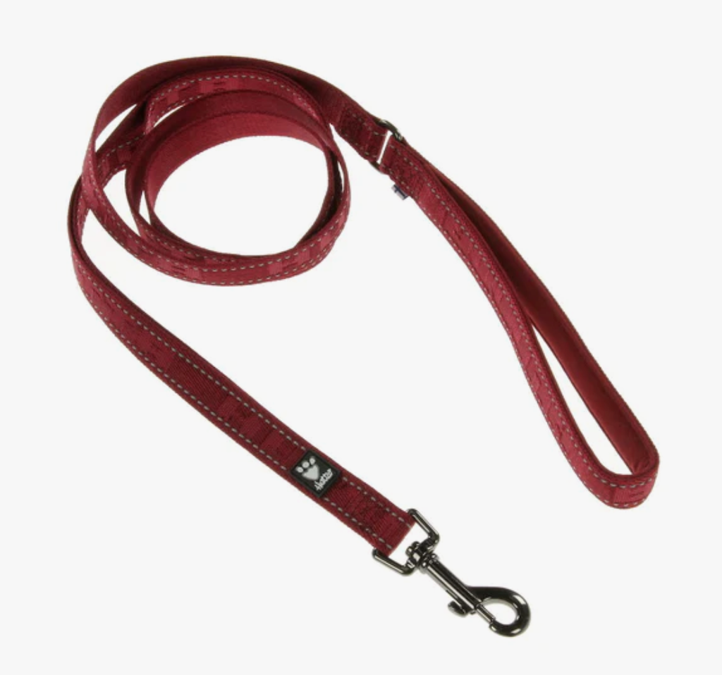 Casual reflective leash