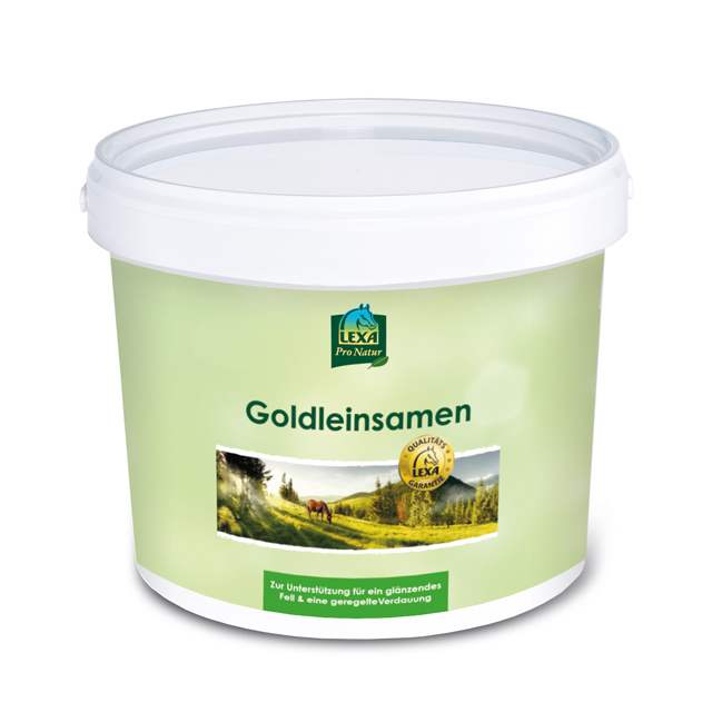 Goldleinsamen 3 kg