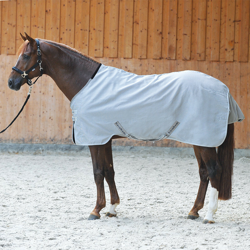 Funktionsdecke &quot;DryControl&quot; 270 g Fleece, 145cm