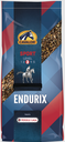 Endurix