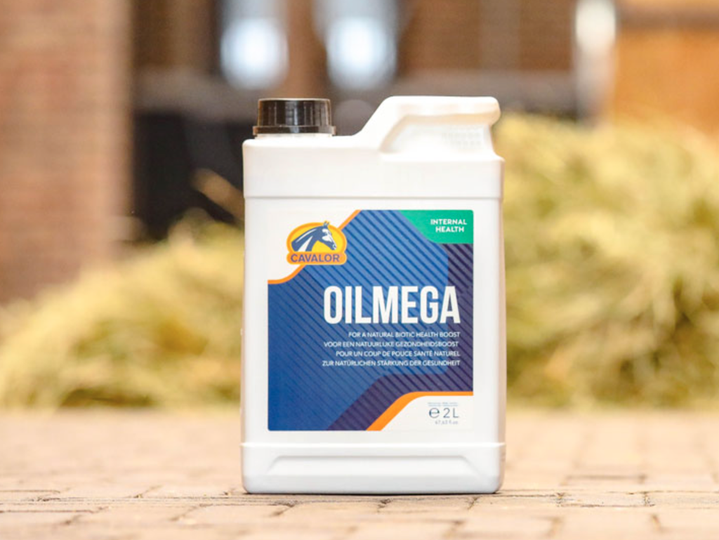 OilMega