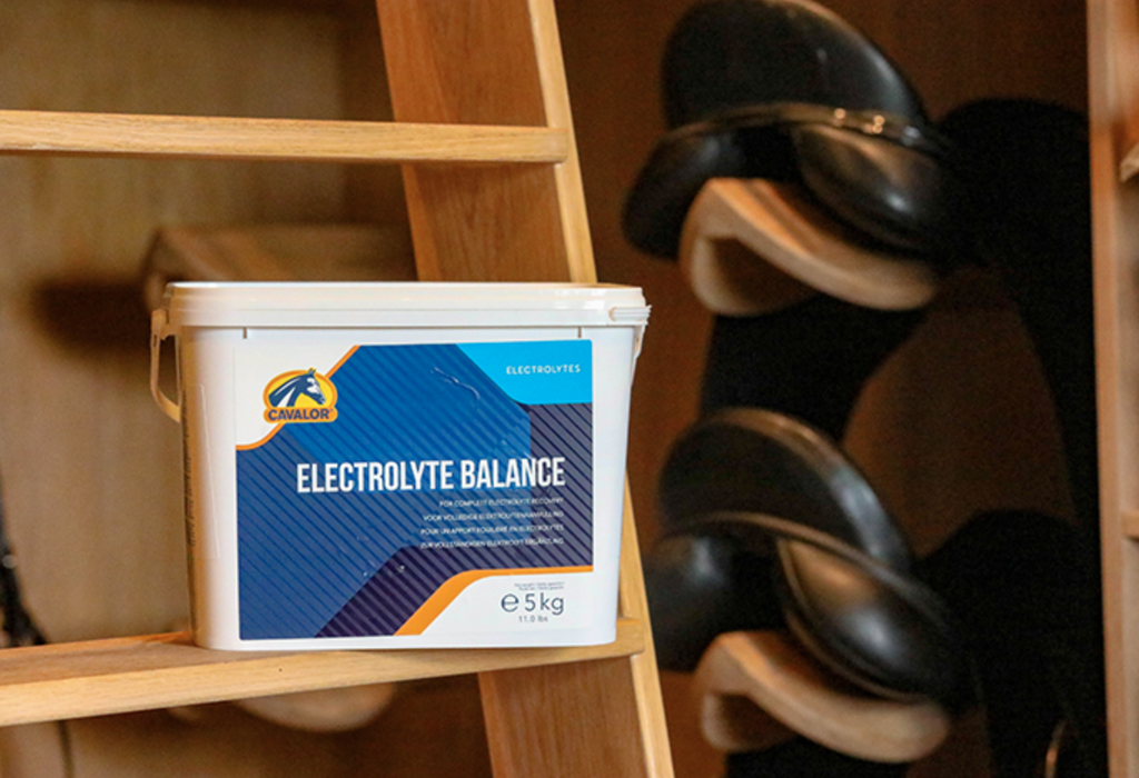 Electrolyte Balance