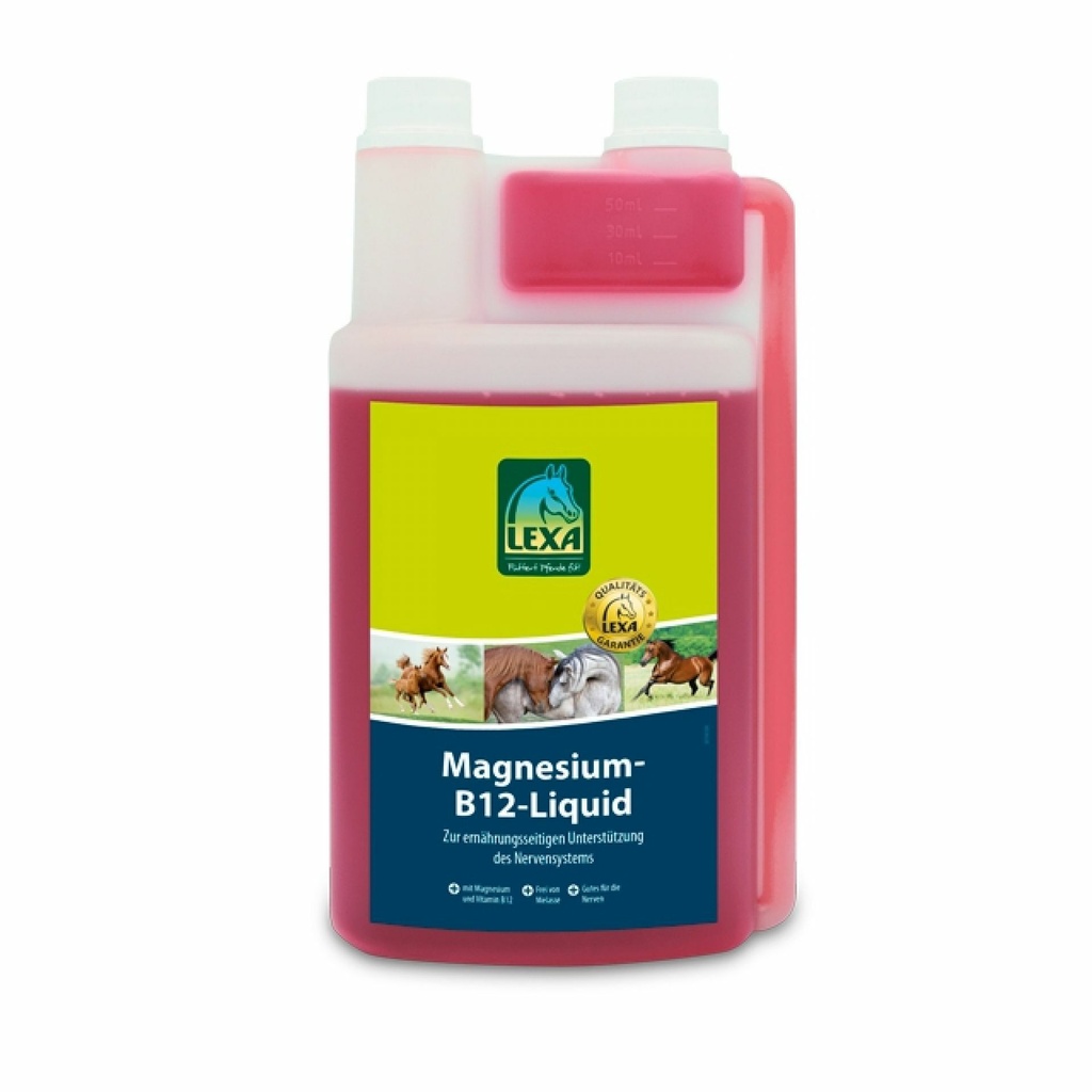 Magnesium-B12-Liquid, 1 L