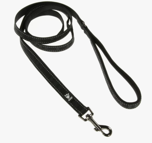 Casual reflective leash